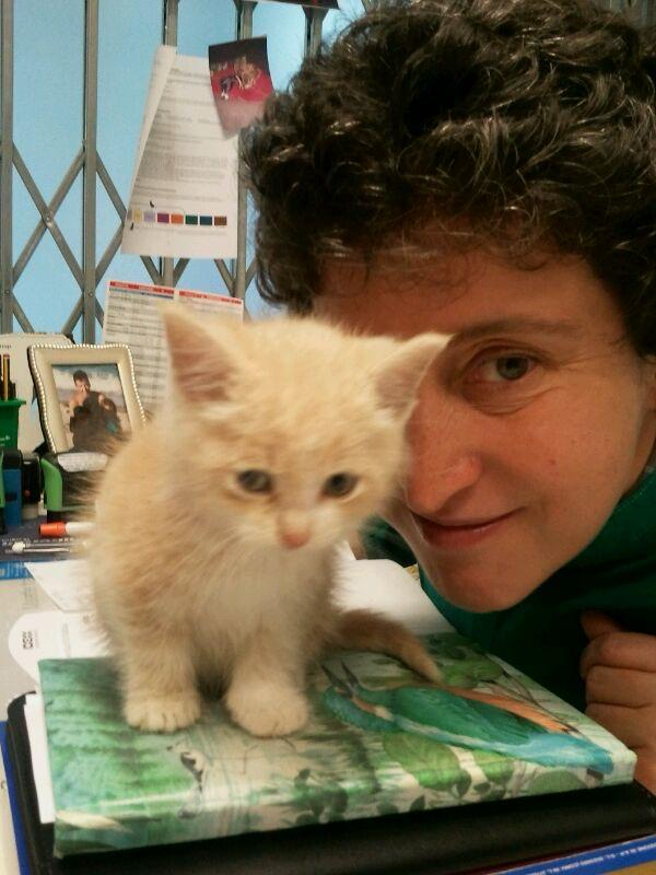 Dottoressa in visita